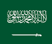 SAR icon
